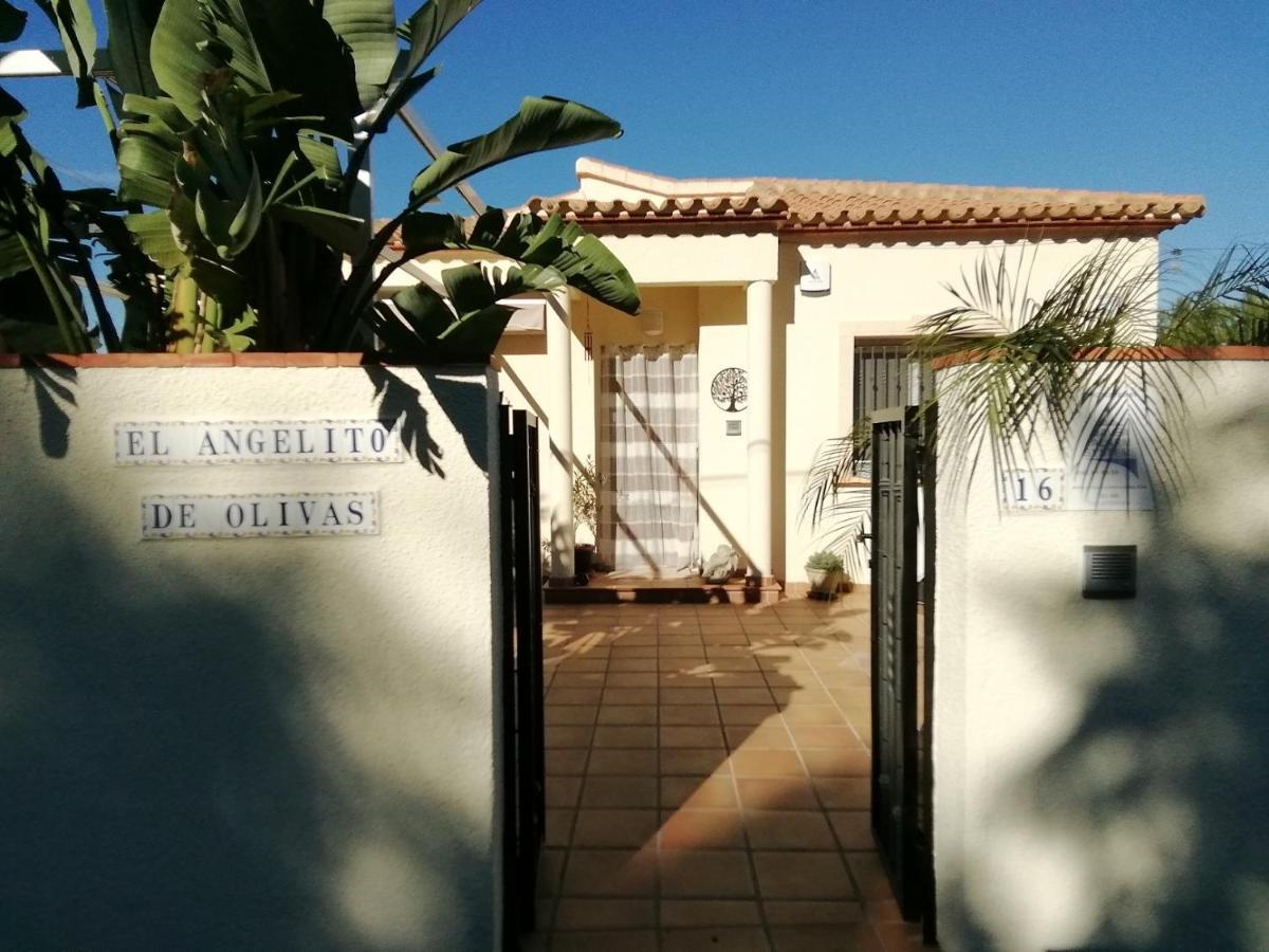 Guest House El Angelito De Olivas Pedreguer Ngoại thất bức ảnh